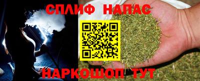 гидра Пенза