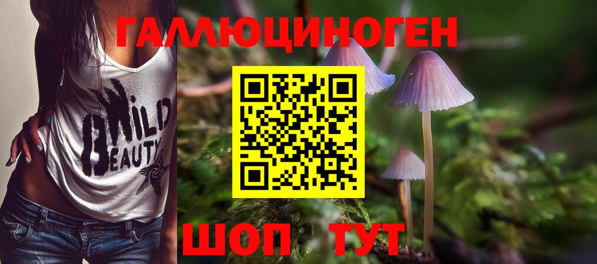 Пушкино  Галлюциногенные грибы Cubensis  Псилоцибиновые грибы мицелий  Вход с VPN 